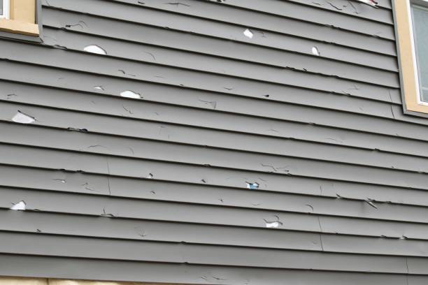 Affordable Siding Repair and Maintenance Services in Fairburn, GA